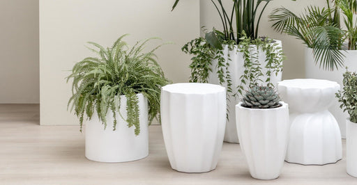 Pots & Planters - THE LOOM COLLECTION